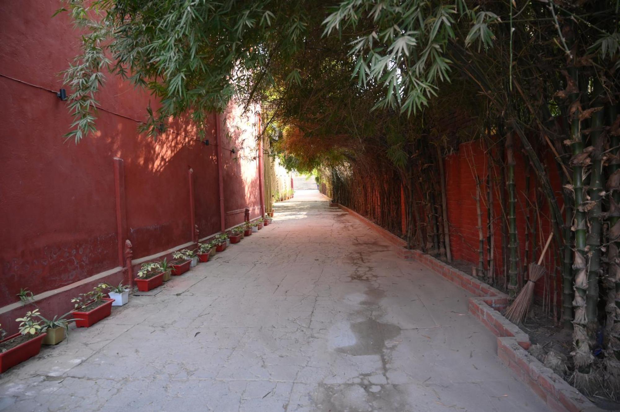 Raja Ka Bagh - A Boutique Hotel Nurpur 外观 照片